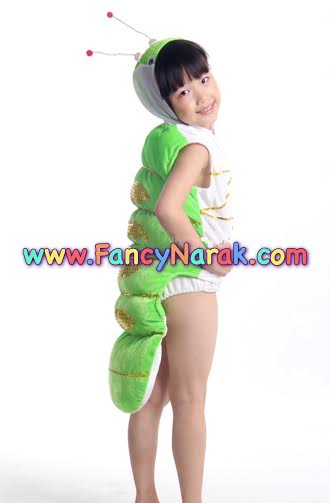ชุดหนอน ชุดแฟนซีหนอน ปล้องนูนสวยงาม ชุดหนอน ชุดแฟนซีหนอน ปล้องนูนสวยงาม