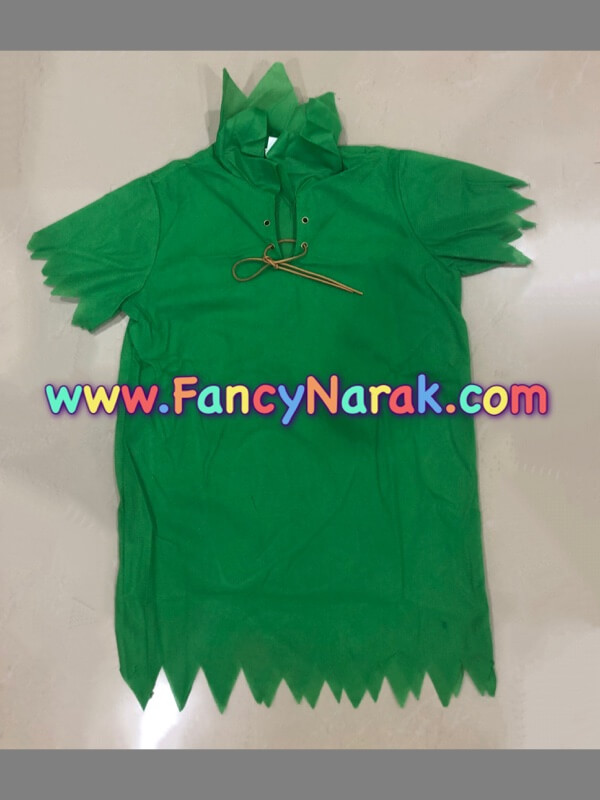 ชุดปีเตอร์แพน peter pan ชุดปีเตอร์แพน peter pan