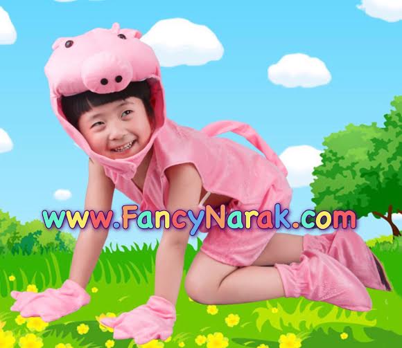 ชุดหมู