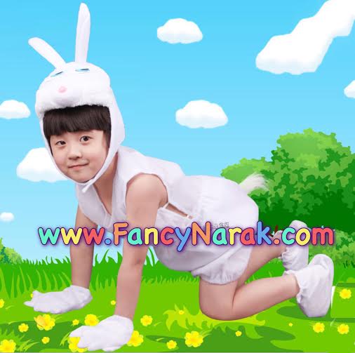 ชุดกระต่าย