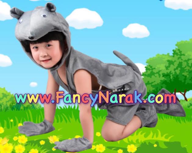 ชุดหนู ชุดสัตว์ต่างๆ