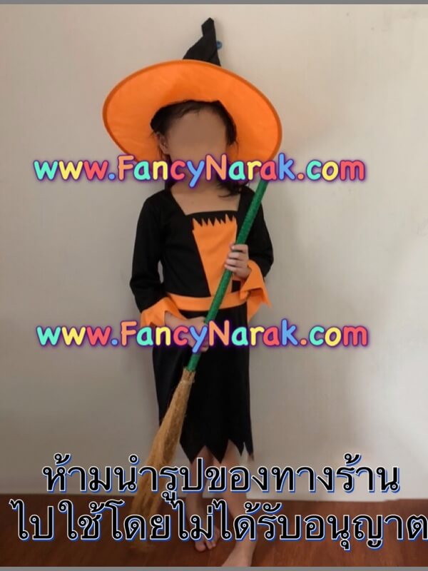 ชุดฮาโลวีน ชุดแม่มด