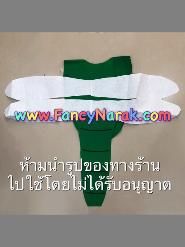 ชุดแมลงปอ ชุดแมงปอ