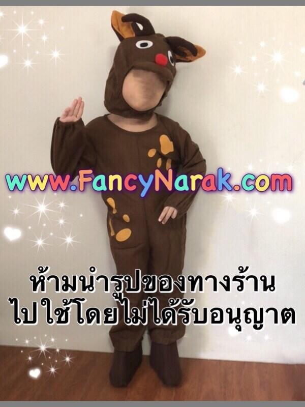 ชุดกวางเรนเดียร์ Raindeer ชุดกวางเรนเดียร์ Raindeer