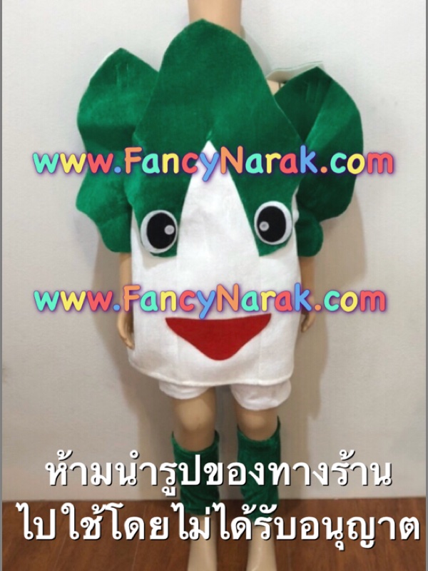 ชุดแฟนซีผัก พร้อม กางเกง ปลอกขา