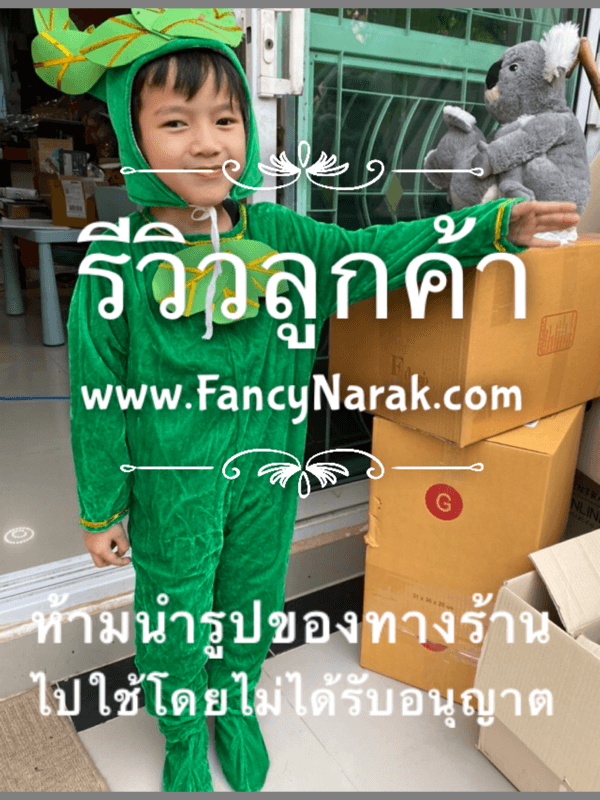 ชุดต้นไม้ สีเขียว