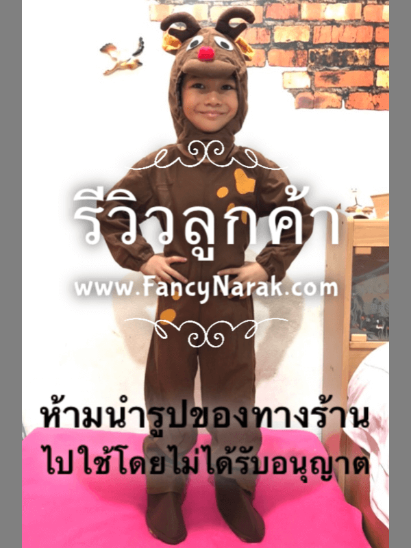 (SALE) ชุดกวางเรนเดียร์ สีน้ำตาลเข้ม